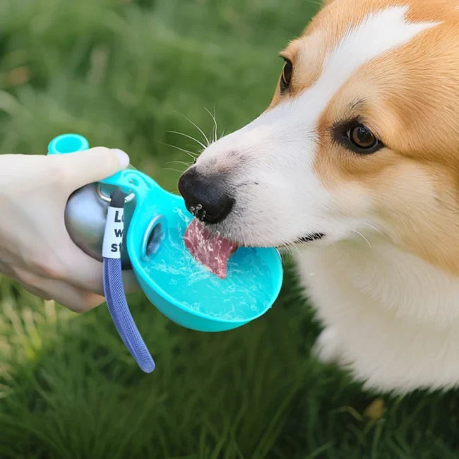 Gourde pour chien avec bol intégré portable